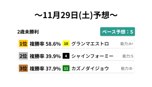 2歳未勝利 データサイエンス競馬予想-11月29日(土)-