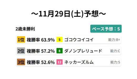 2歳未勝利 データサイエンス競馬予想-11月29日(土)-