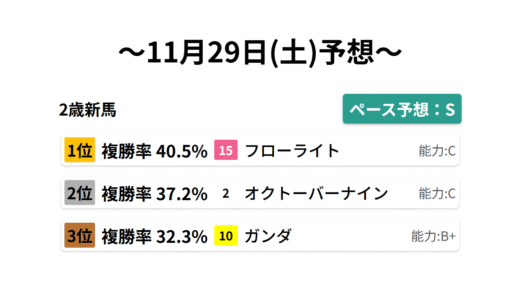 2歳新馬 データサイエンス競馬予想-11月29日(土)-