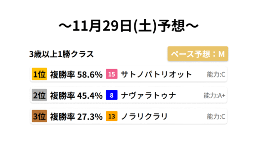 3歳以上1勝クラス データサイエンス競馬予想-11月29日(土)-