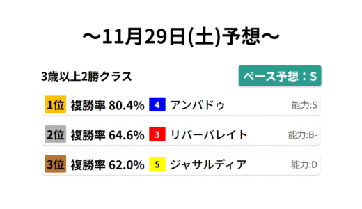 3歳以上2勝クラス データサイエンス競馬予想-11月29日(土)-
