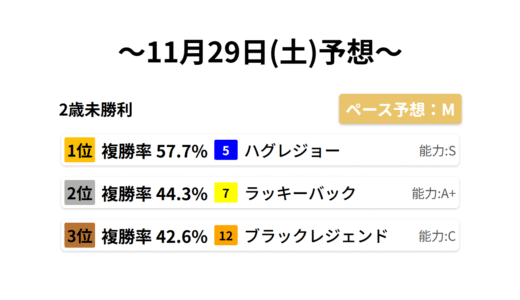 2歳未勝利 データサイエンス競馬予想-11月29日(土)-