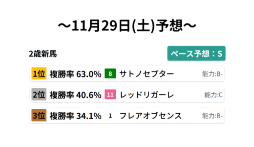 2歳新馬 データサイエンス競馬予想-11月29日(土)-