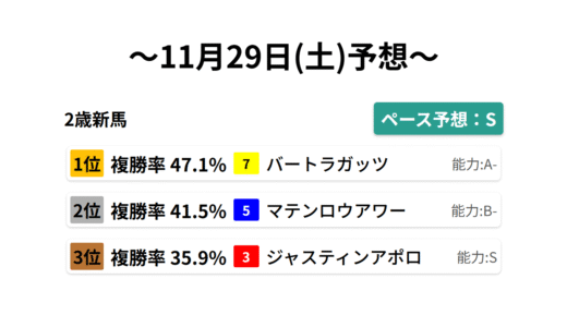 2歳新馬 データサイエンス競馬予想-11月29日(土)-