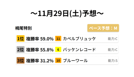 栂尾特別　　　　　　 データサイエンス競馬予想-11月29日(土)-