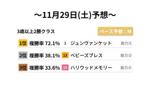 3歳以上2勝クラス データサイエンス競馬予想-11月29日(土)-