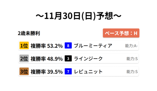2歳未勝利 データサイエンス競馬予想-11月30日(日)-