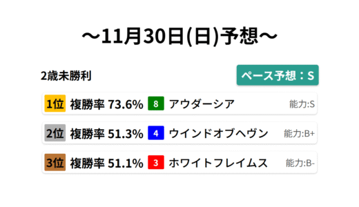 2歳未勝利 データサイエンス競馬予想-11月30日(日)-