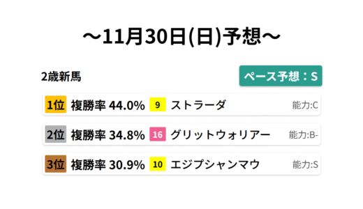 2歳新馬 データサイエンス競馬予想-11月30日(日)-
