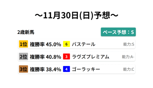 2歳新馬 データサイエンス競馬予想-11月30日(日)-