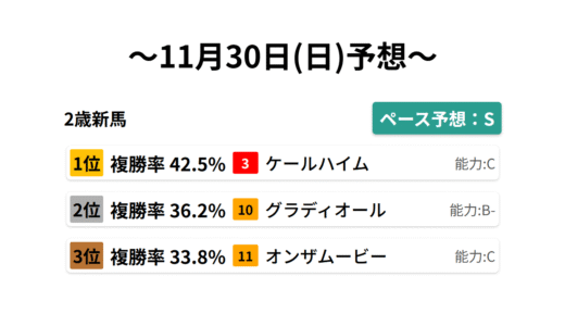 2歳新馬 データサイエンス競馬予想-11月30日(日)-