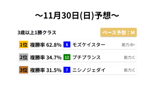 3歳以上1勝クラス データサイエンス競馬予想-11月30日(日)-