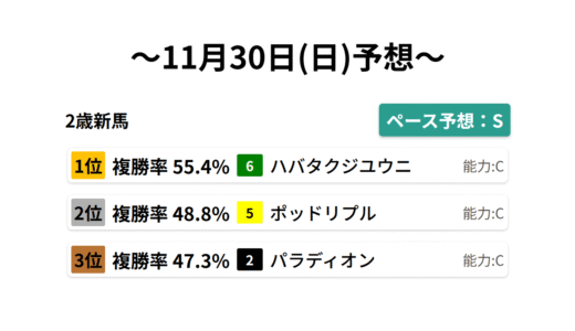 2歳新馬 データサイエンス競馬予想-11月30日(日)-