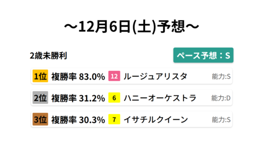 2歳未勝利 データサイエンス競馬予想-12月6日(土)-
