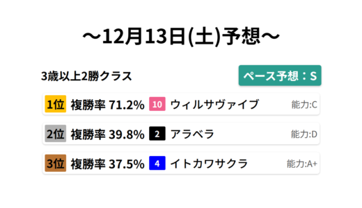 3歳以上2勝クラス データサイエンス競馬予想-12月13日(土)-
