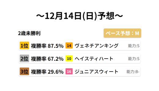 2歳未勝利 データサイエンス競馬予想-12月14日(日)-