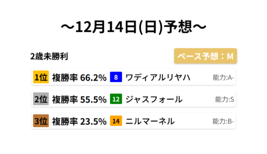 2歳未勝利 データサイエンス競馬予想-12月14日(日)-