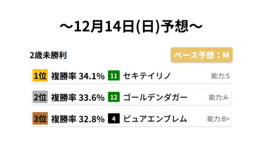 2歳未勝利 データサイエンス競馬予想-12月14日(日)-