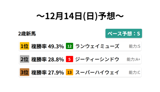 2歳新馬 データサイエンス競馬予想-12月14日(日)-