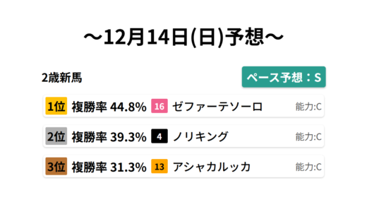 2歳新馬 データサイエンス競馬予想-12月14日(日)-