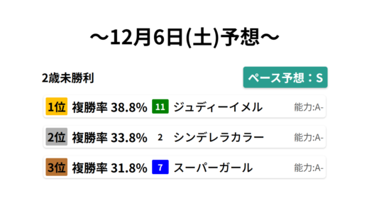 2歳未勝利 データサイエンス競馬予想-12月6日(土)-
