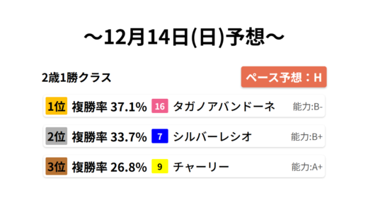 2歳1勝クラス データサイエンス競馬予想-12月14日(日)-