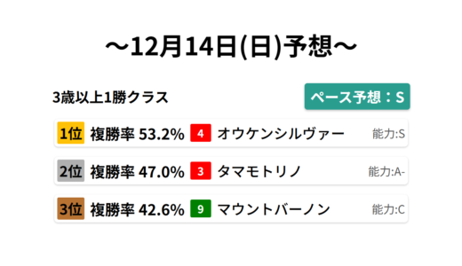 3歳以上1勝クラス データサイエンス競馬予想-12月14日(日)-