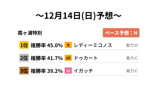霞ヶ浦特別 データサイエンス競馬予想-12月14日(日)-