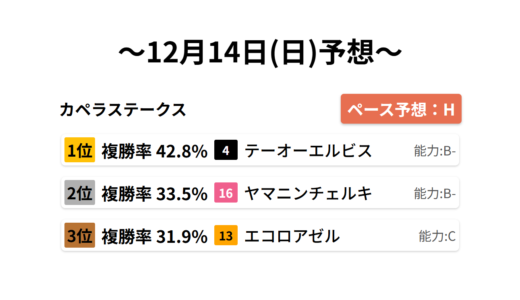 カペラステークス データサイエンス競馬予想-12月14日(日)-