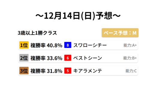 3歳以上1勝クラス データサイエンス競馬予想-12月14日(日)-