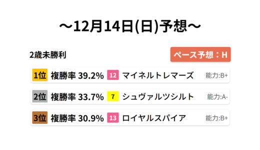 2歳未勝利 データサイエンス競馬予想-12月14日(日)-