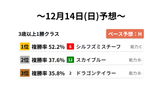 3歳以上1勝クラス データサイエンス競馬予想-12月14日(日)-