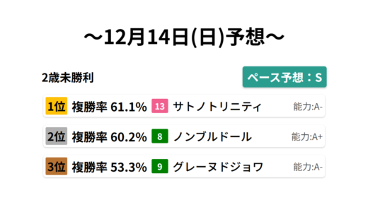 2歳未勝利 データサイエンス競馬予想-12月14日(日)-