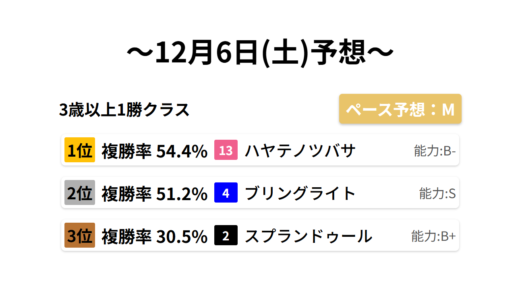 3歳以上1勝クラス データサイエンス競馬予想-12月6日(土)-