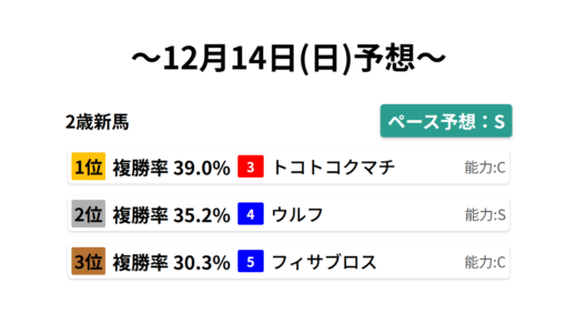 2歳新馬 データサイエンス競馬予想-12月14日(日)-
