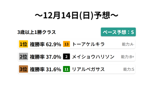 3歳以上1勝クラス データサイエンス競馬予想-12月14日(日)-