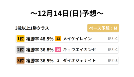 3歳以上1勝クラス データサイエンス競馬予想-12月14日(日)-