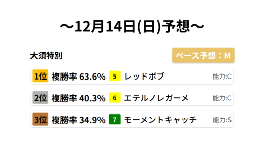 大須特別 データサイエンス競馬予想-12月14日(日)-