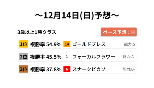 3歳以上1勝クラス データサイエンス競馬予想-12月14日(日)-