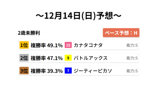 2歳未勝利 データサイエンス競馬予想-12月14日(日)-