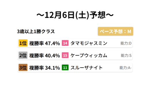 3歳以上1勝クラス データサイエンス競馬予想-12月6日(土)-