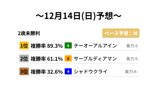 2歳未勝利 データサイエンス競馬予想-12月14日(日)-