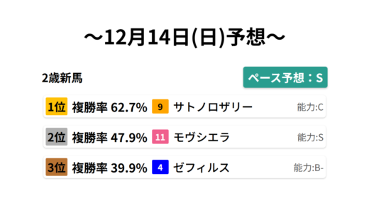 2歳新馬 データサイエンス競馬予想-12月14日(日)-