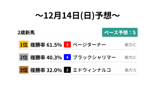 2歳新馬 データサイエンス競馬予想-12月14日(日)-