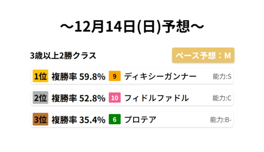 3歳以上2勝クラス データサイエンス競馬予想-12月14日(日)-