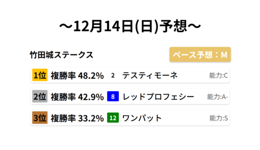 竹田城ステークス データサイエンス競馬予想-12月14日(日)-