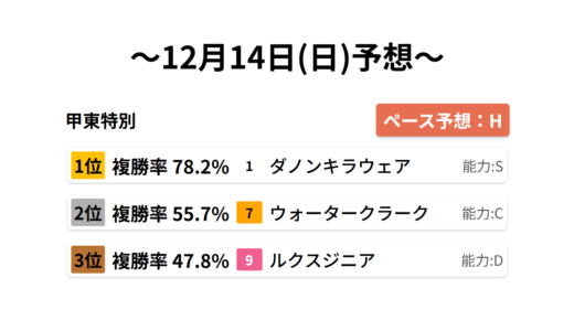 甲東特別 データサイエンス競馬予想-12月14日(日)-