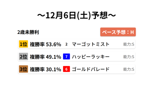 2歳未勝利 データサイエンス競馬予想-12月6日(土)-