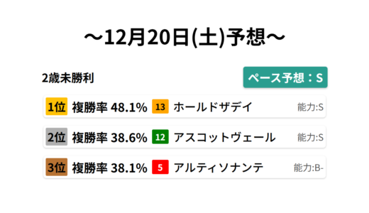 2歳未勝利 データサイエンス競馬予想-12月20日(土)-