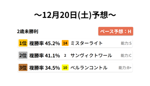 2歳未勝利 データサイエンス競馬予想-12月20日(土)-